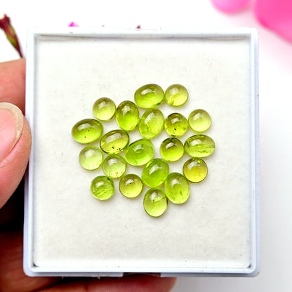 18 Karat Peridot, glatter Cabochon, 5 x 5 mm – 6 x 6 mm, runde Form, Edelsteinklasse AA, Paket – insgesamt 20 Stück