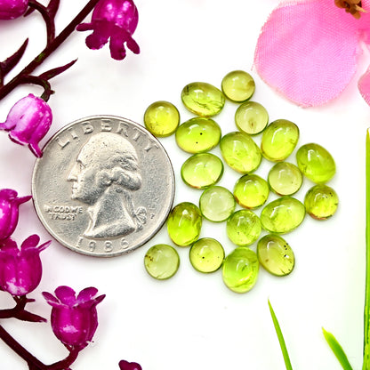 18 Karat Peridot, glatter Cabochon, 5 x 5 mm – 6 x 6 mm, runde Form, Edelsteinklasse AA, Paket – insgesamt 20 Stück