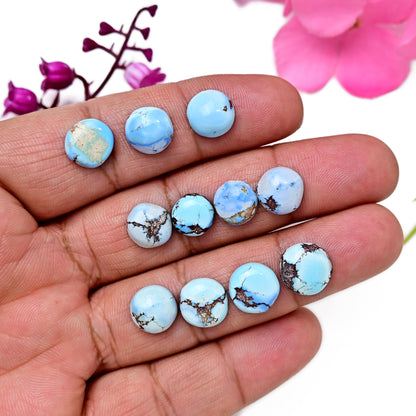 36.90cts Golden Hills Turquoise Cabochons 10x10mm - 12x12mm For Jewelry Making Round Shape AA Grade Gemstone Parcel -11 Piece