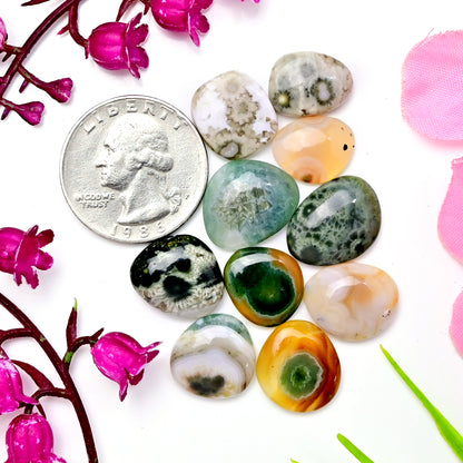 54.1 carats Ocean Jasper Cabochon Mix Shape  10x14mm - 14x16mm AA Grade Gemstone Parcel - Total 10 Pcs