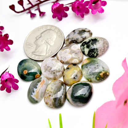 49.7 carats Ocean Jasper Cabochon Freeform Shape  10x15mm - 13x17mm AA Grade Gemstone Parcel - Total 10 Pcs