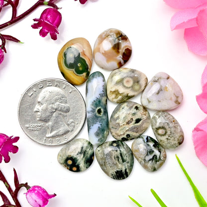 63.1 carats Ocean Jasper Cabochon Freeform Shape  8x26mm - 10x13mm AA Grade Gemstone Parcel - Total 10 Pcs