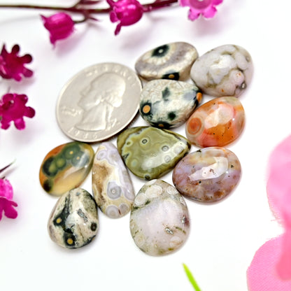 62.6carats Ocean Jasper Cabochon Freeform Shape 10x20mm - 12x15mm AA Grade Gemstone Parcel - Total 10 Pcs