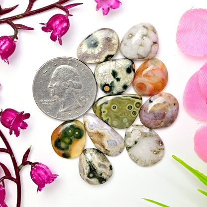 62.6carats Ocean Jasper Cabochon Freeform Shape 10x20mm - 12x15mm AA Grade Gemstone Parcel - Total 10 Pcs