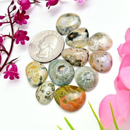 76.8carats Ocean Jasper Cabochon Freeform Shape 12x15mm - 15x20mm AA Grade Gemstone Parcel - Total 10 Pcs