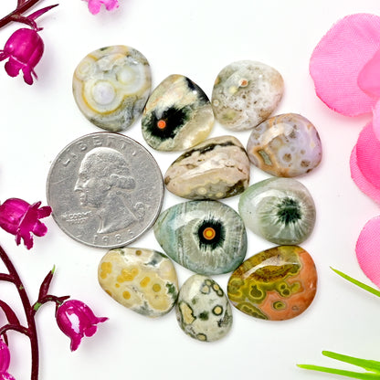 76.8carats Ocean Jasper Cabochon Freeform Shape 12x15mm - 15x20mm AA Grade Gemstone Parcel - Total 10 Pcs