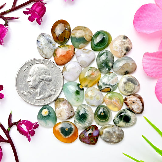 72.8carats Ocean Jasper Cabochon Freeform Shape 9x10mm - 10x12mm AA Grade Gemstone Parcel - Total 25 Pcs