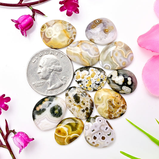 77.5carats Ocean Jasper Cabochon Freeform Shape 15x19mm - 12x15mm AA Grade Gemstone Parcel - Total 11 Pcs