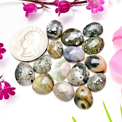 62.6carats Ocean Jasper Cabochon Freeform Shape 12x15mm - 9x12mm AA Grade Gemstone Parcel - Total 15 Pcs