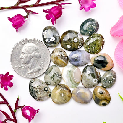 62.6carats Ocean Jasper Cabochon Freeform Shape 12x15mm - 9x12mm AA Grade Gemstone Parcel - Total 15 Pcs