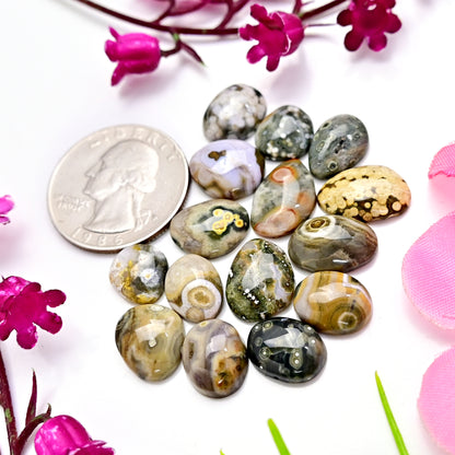 49.65carats Ocean Jasper Cabochon Freeform Shape 9x11mm - 9x14mm AA Grade Gemstone Parcel - Total 15 Pcs