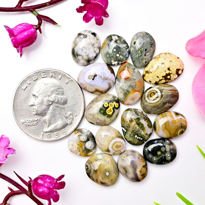 49.65carats Ocean Jasper Cabochon Freeform Shape 9x11mm - 9x14mm AA Grade Gemstone Parcel - Total 15 Pcs