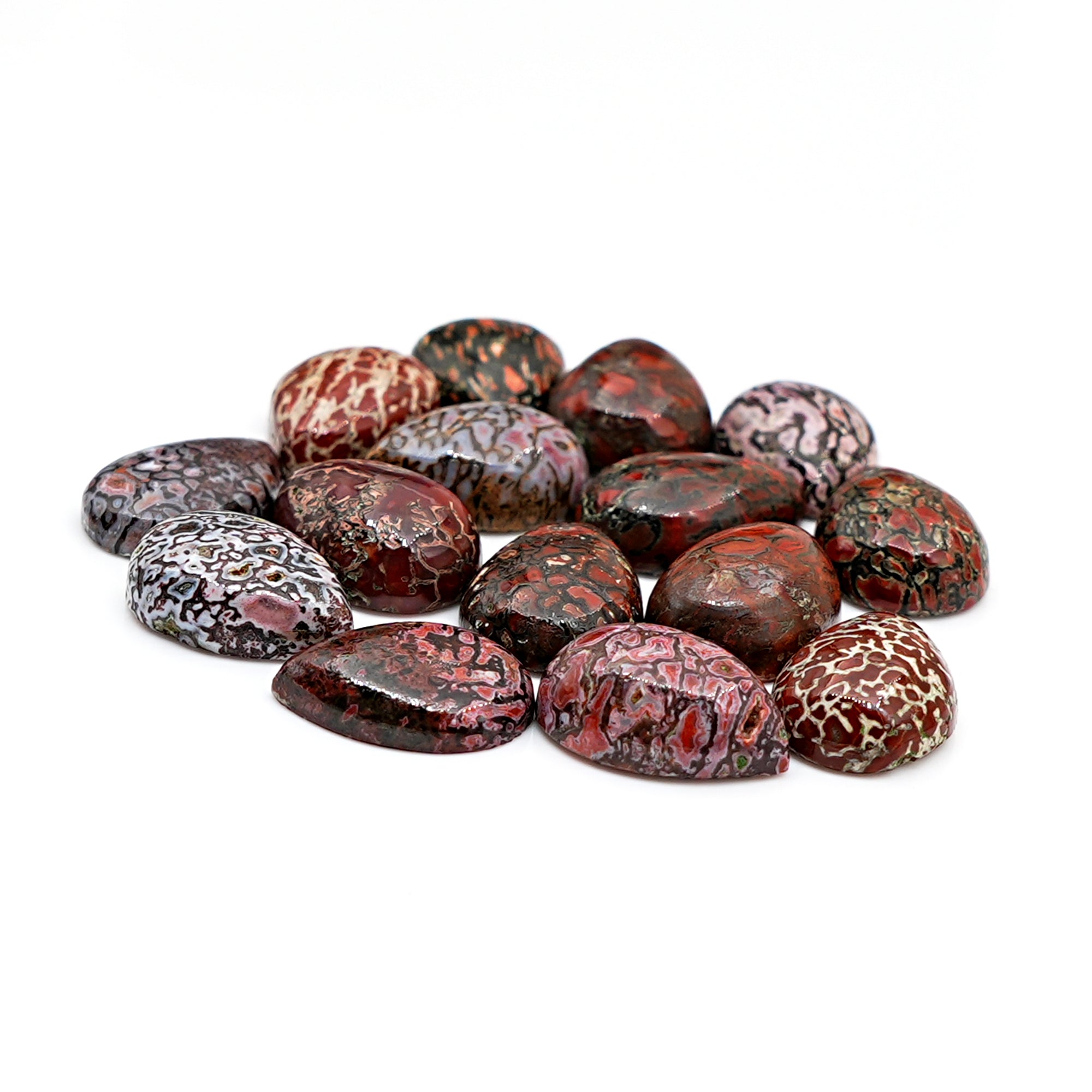 Pear Cut Fossilized Dinosaur Bone Cabochon | Ancient Gemstone For Jewelry Making - 15 Pieces