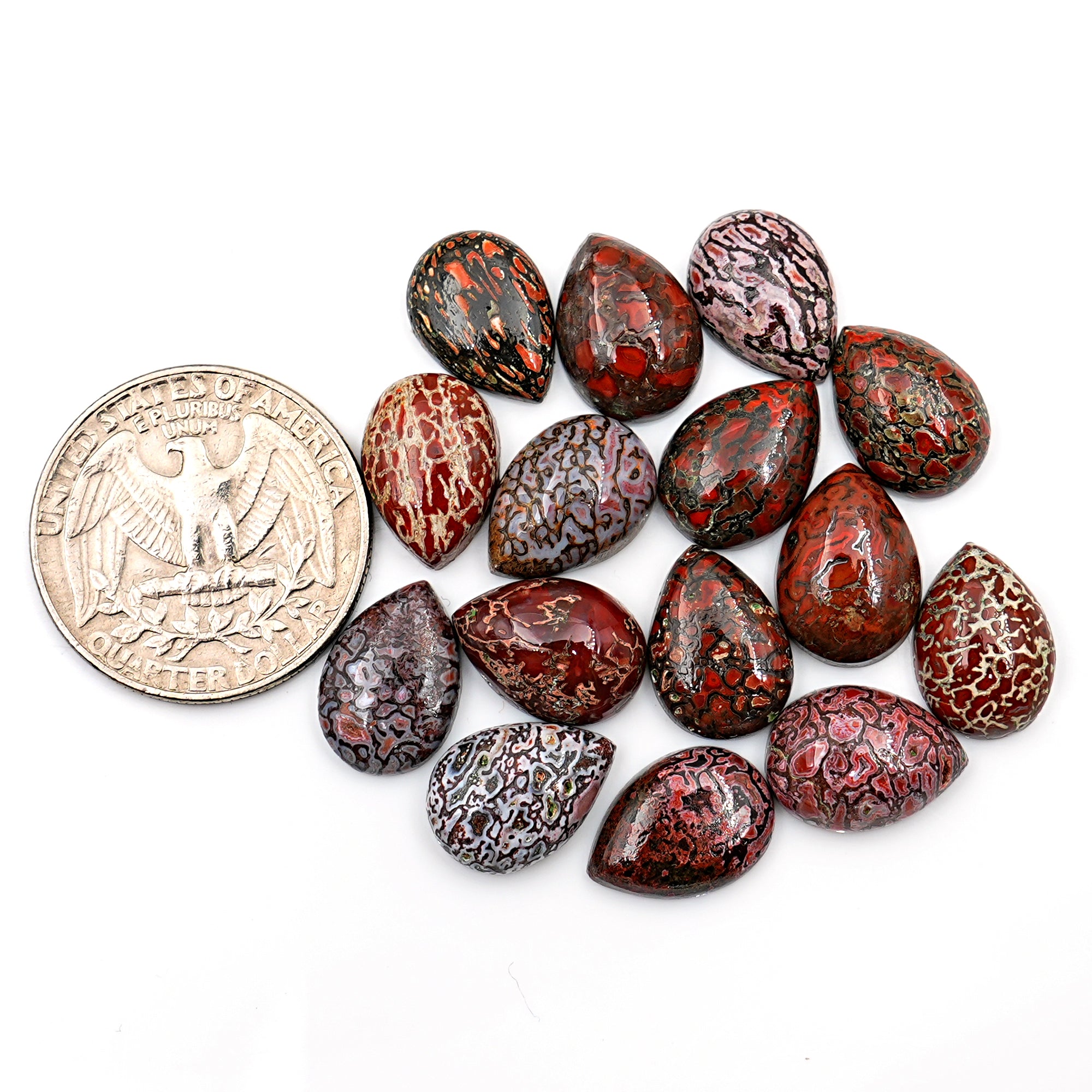 Pear Cut Fossilized Dinosaur Bone Cabochon | Ancient Gemstone For Jewelry Making - 15 Pieces