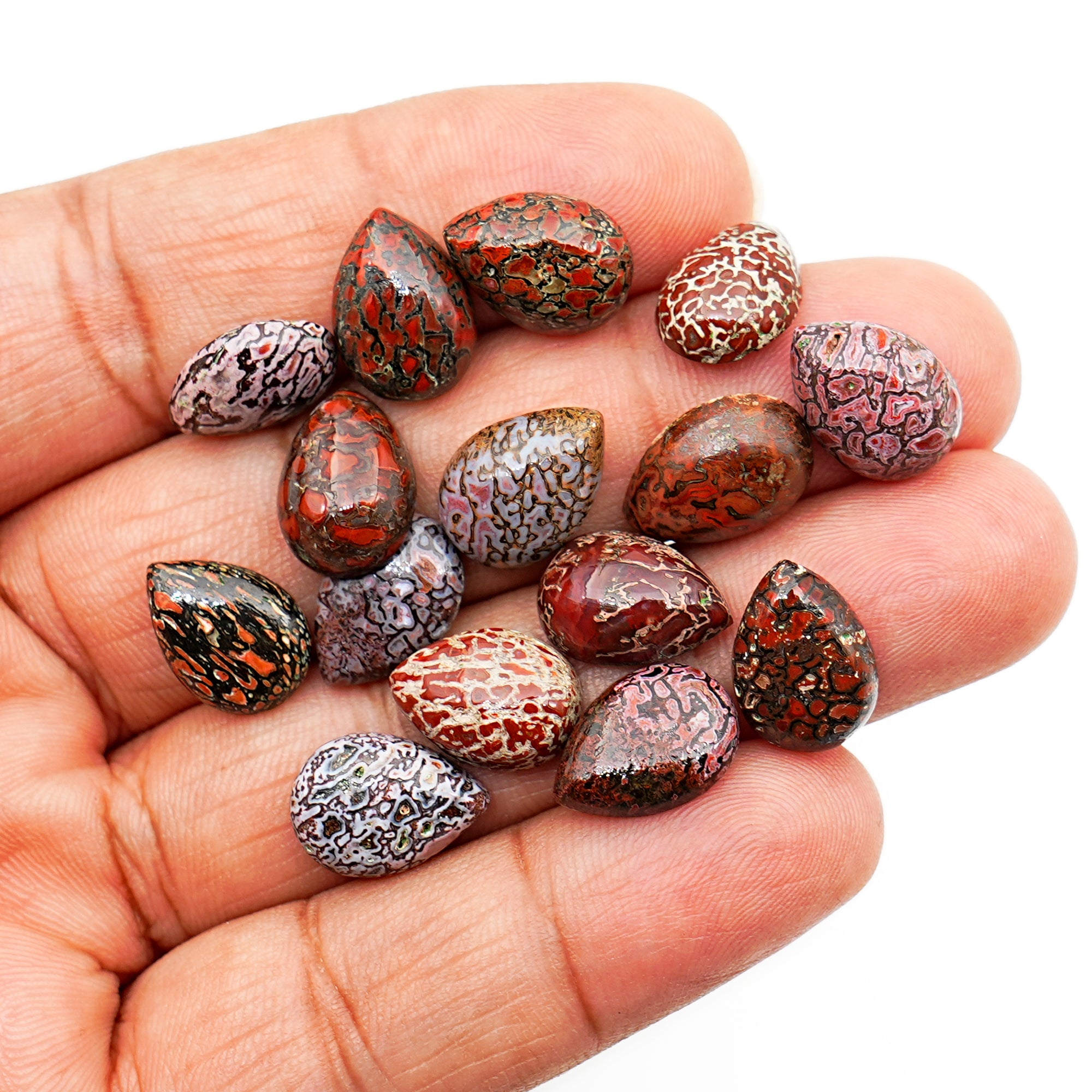 Pear Cut Fossilized Dinosaur Bone Cabochon | Ancient Gemstone For Jewelry Making - 15 Pieces