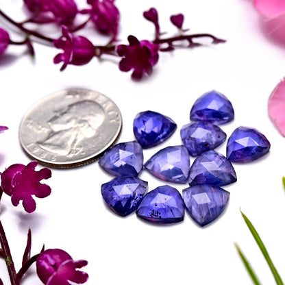 27.3cts Natural Iolite 10x10mm Calibrated Rose Cut Cabochon Trillian Shape AA Grade Gemstone Parcel -Total 10 Pcs