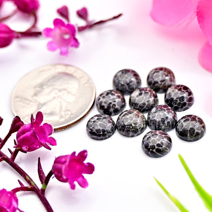 20.2cts Black Coral Cabs Round Shape 8x8mm AA Grade Gemstone Parcel Total -10 pcs