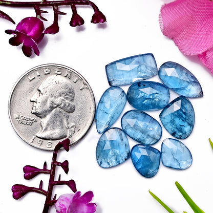 24.8cts Aquamarine Kyanite Rose Cut  8x10mm - 7x14mm Baguette Shape AA Grade Gemstone Parcel - Total 9 Pcs