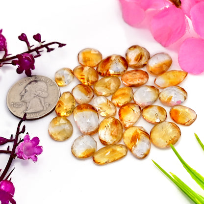 96.30cts Bio Citrine Rose Cut Cabochon 8x16mm - 11x15mm Mix Shape AA Grade Gemstone Parcel -Total 25 Pcs