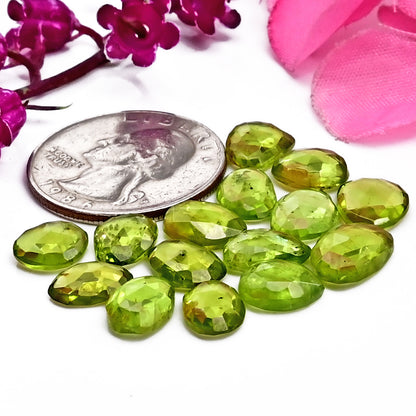 Peridot Rose Cut Cabochons – 6x9mm to 8x11mm, Freeform Shape, 15 Piece Wholesale Gemstone Parcel