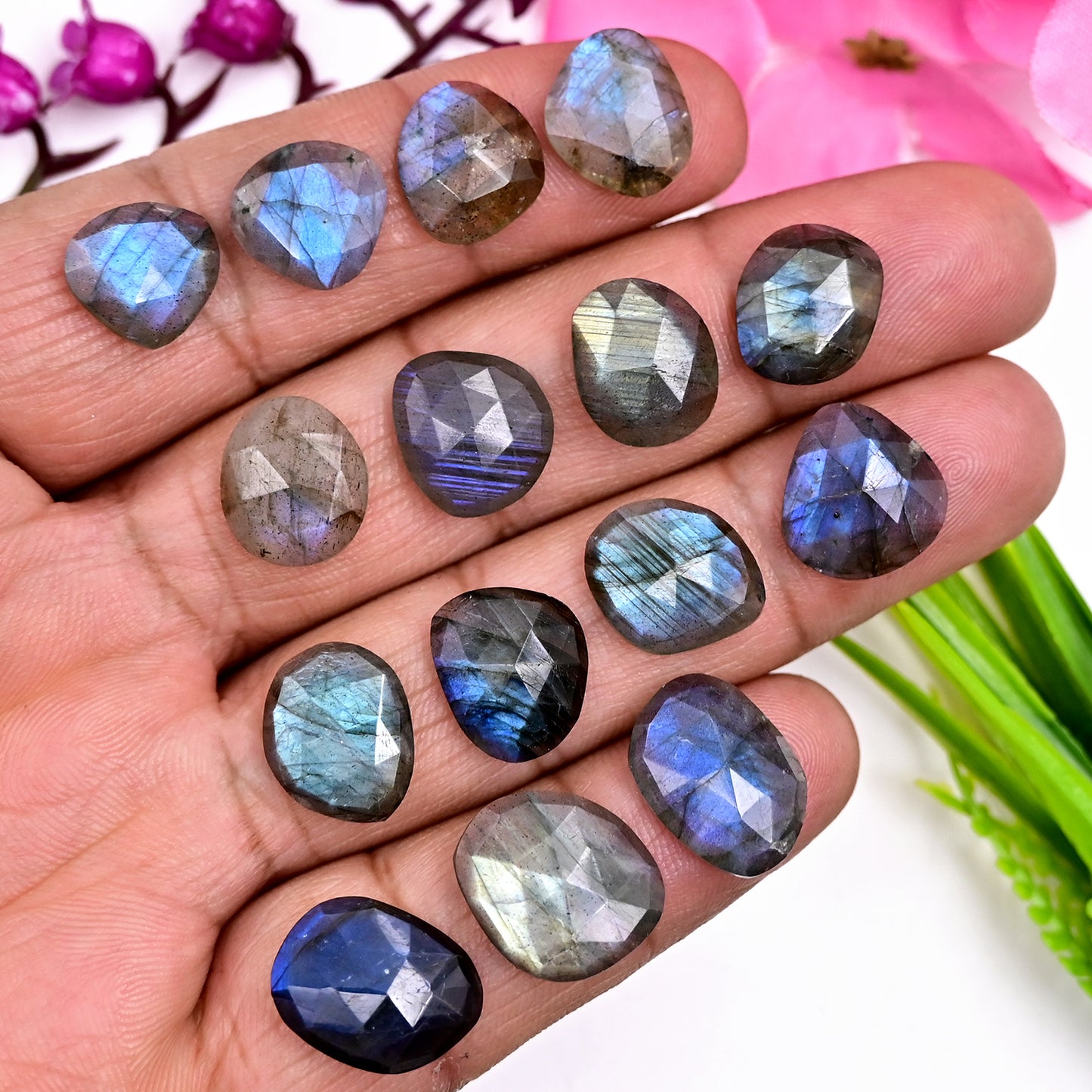 74.30cts Labradorite Rose Cut Cabochon 12x16mm - 11x13mm Mix shape AA Grade Gemstone Parcel - Total 15 Pcs