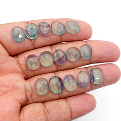 Natural Fluorite Smooth Rose Cut Gemstones | Freeform Rose Cut for Jewelry Making - 15 Pieces