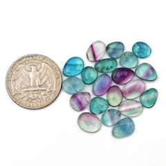 Natural Fluorite Smooth Rose Cut Gemstones | Freeform Rose Cut for Jewelry Making - 20 Pieces