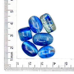 Blue Kyanite Smooth Cabochons | Shimmering Blues in Mixed Organic Shapes - 6 Pieces