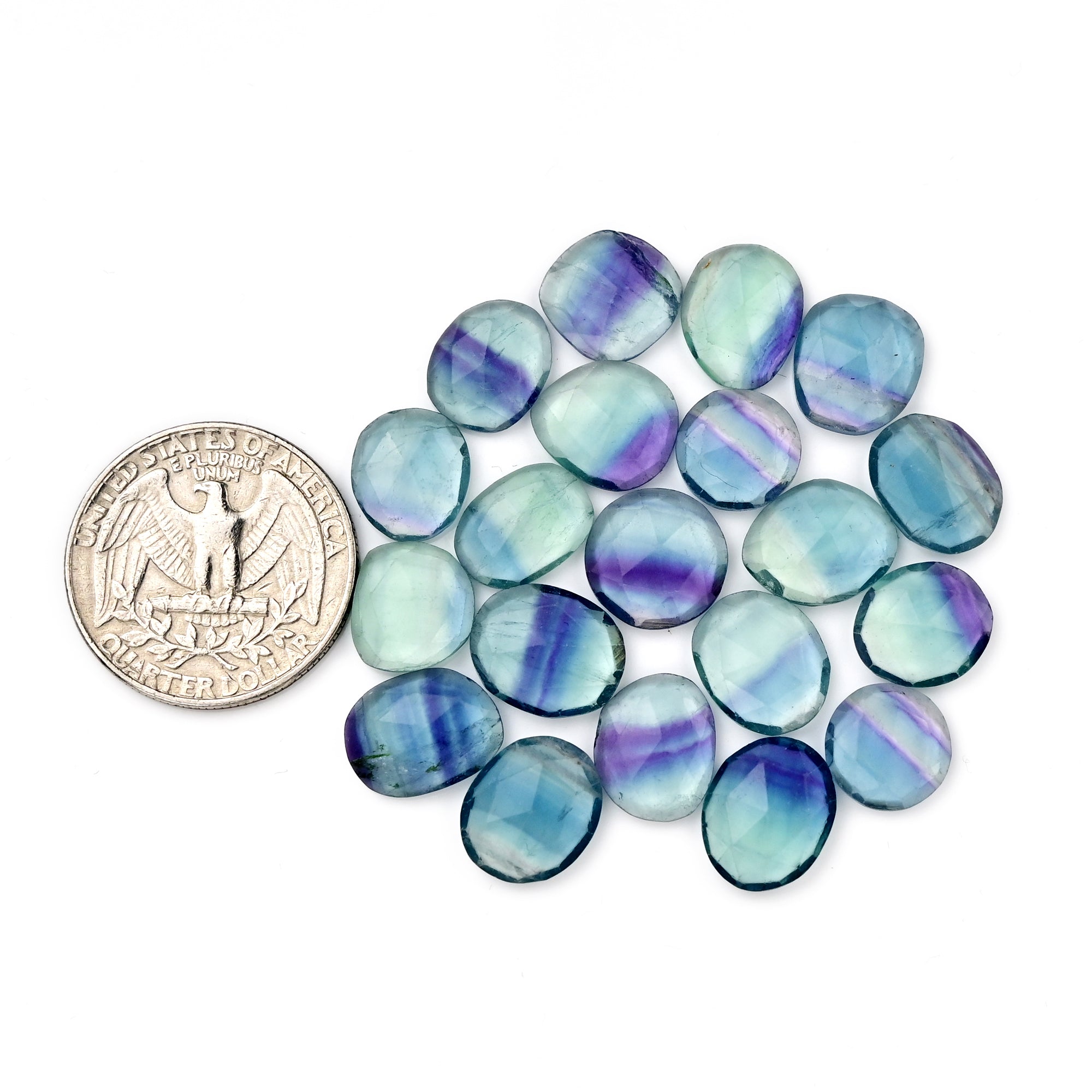 Natural Fluorite Smooth Rose Cut Gemstones | Freeform Rose Cut for Jewelry Making - 20 Pieces