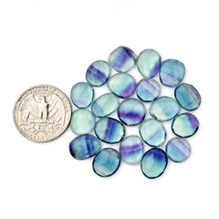 Natural Fluorite Smooth Rose Cut Gemstones | Freeform Rose Cut for Jewelry Making - 20 Pieces