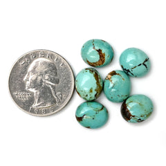 Kingman Turquoise Oval Gemstone | Smooth Cabochons for Jewelry Crafting - 6 Pieces