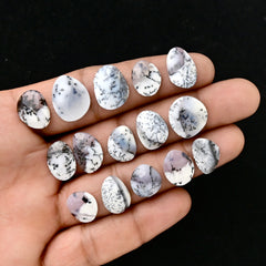 Winter Branches – Dendritic Agate Rosecut Cabochons | Freeform Cuts - 15 Pieces