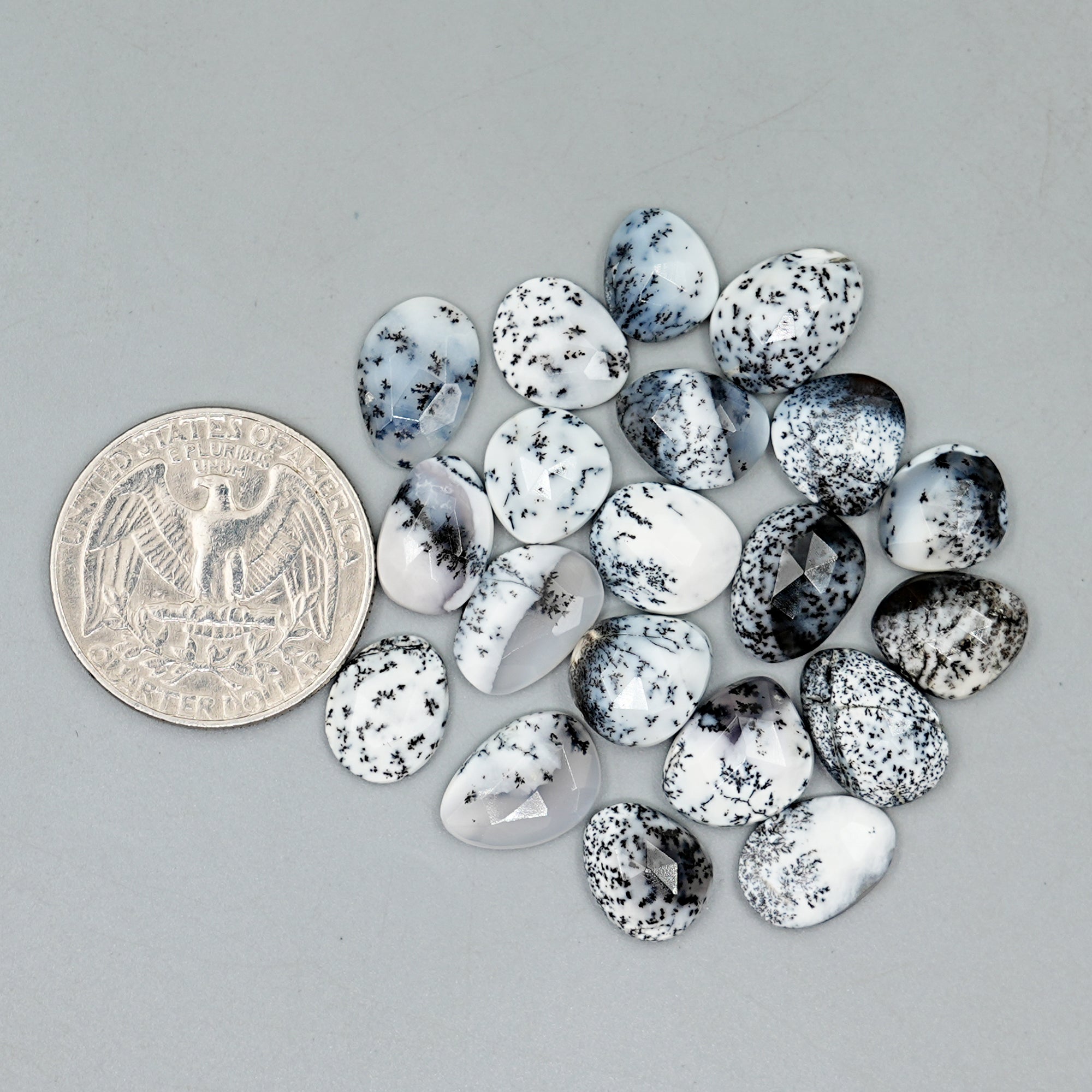 Dendritic Agate Rosecut Cabochons | Freeform Natural Tree-Inclusion Gemstones - 20 Pieces
