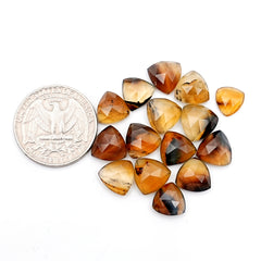 Natural Montana Agate Trillion Cabochon | Rose Cut Gemstones For Jewelry Making - 15 Pieces