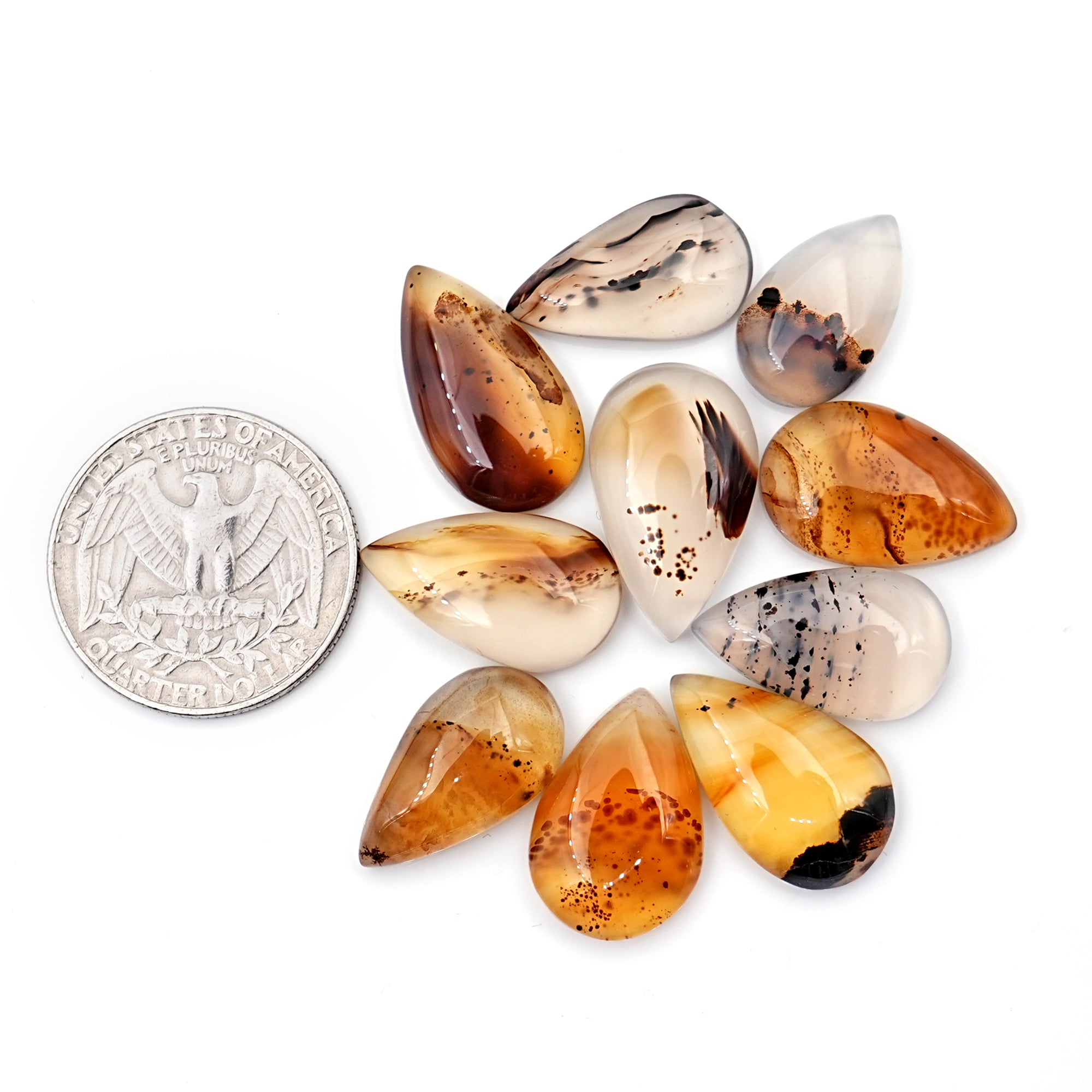 Montana Agate Rose Cut Oval Cabochon | Natural Loose Gemstone for Jewelry Making - 10 Pieces
