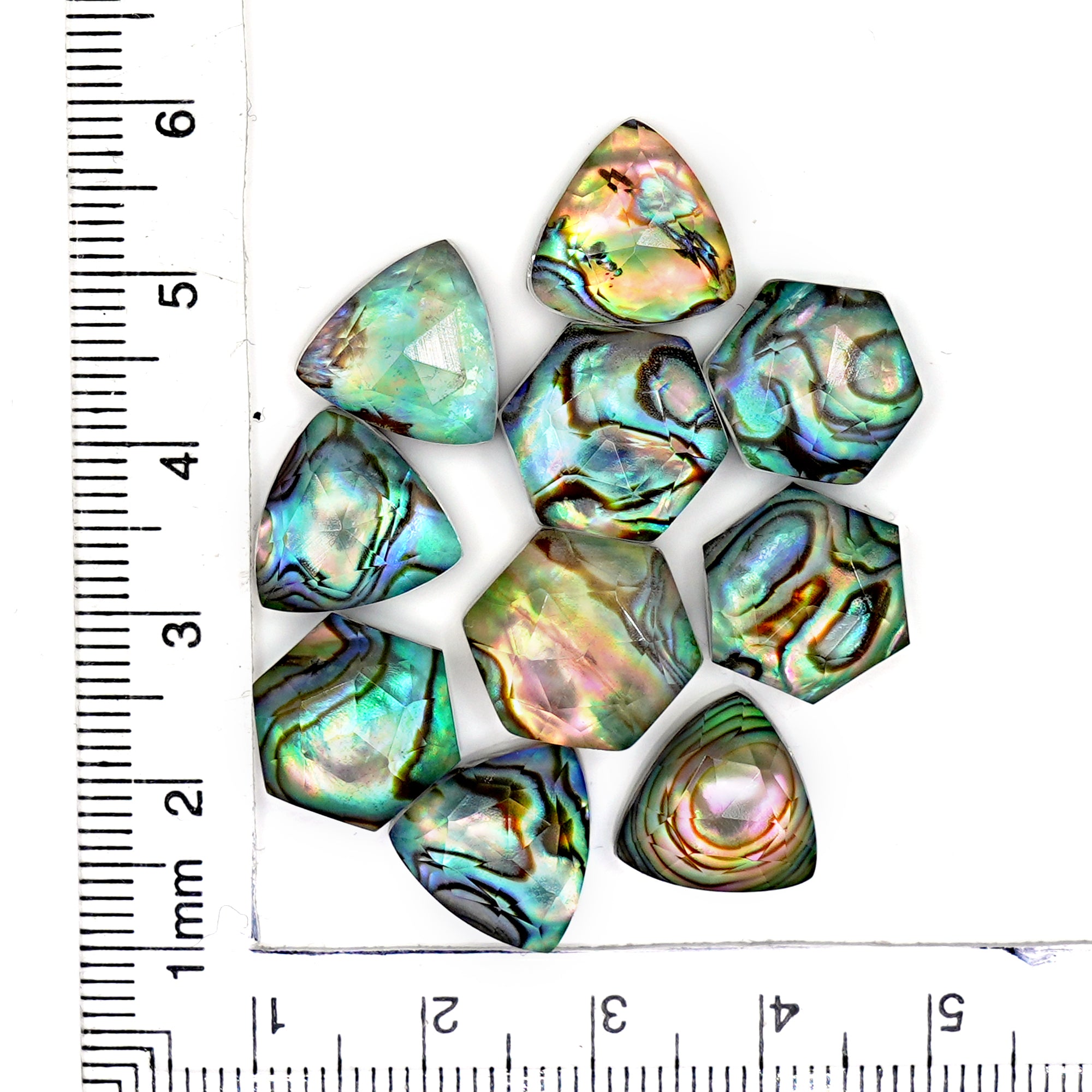 Abalone Shell Doublet Rosecut Cabochons | Mix-Shaped Gemstone for Statement Jewelry - 10 Pieces
