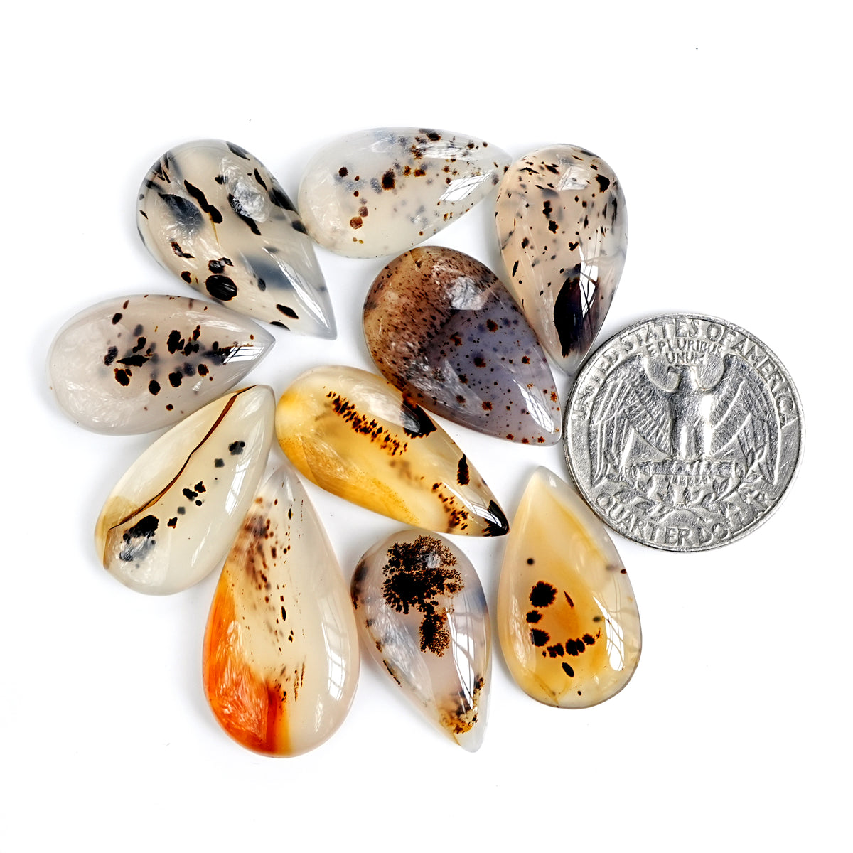 Montana Agate Cabochon |  Natural Flatback Loose Gemstones for Jewelry Making - 10 Pieces