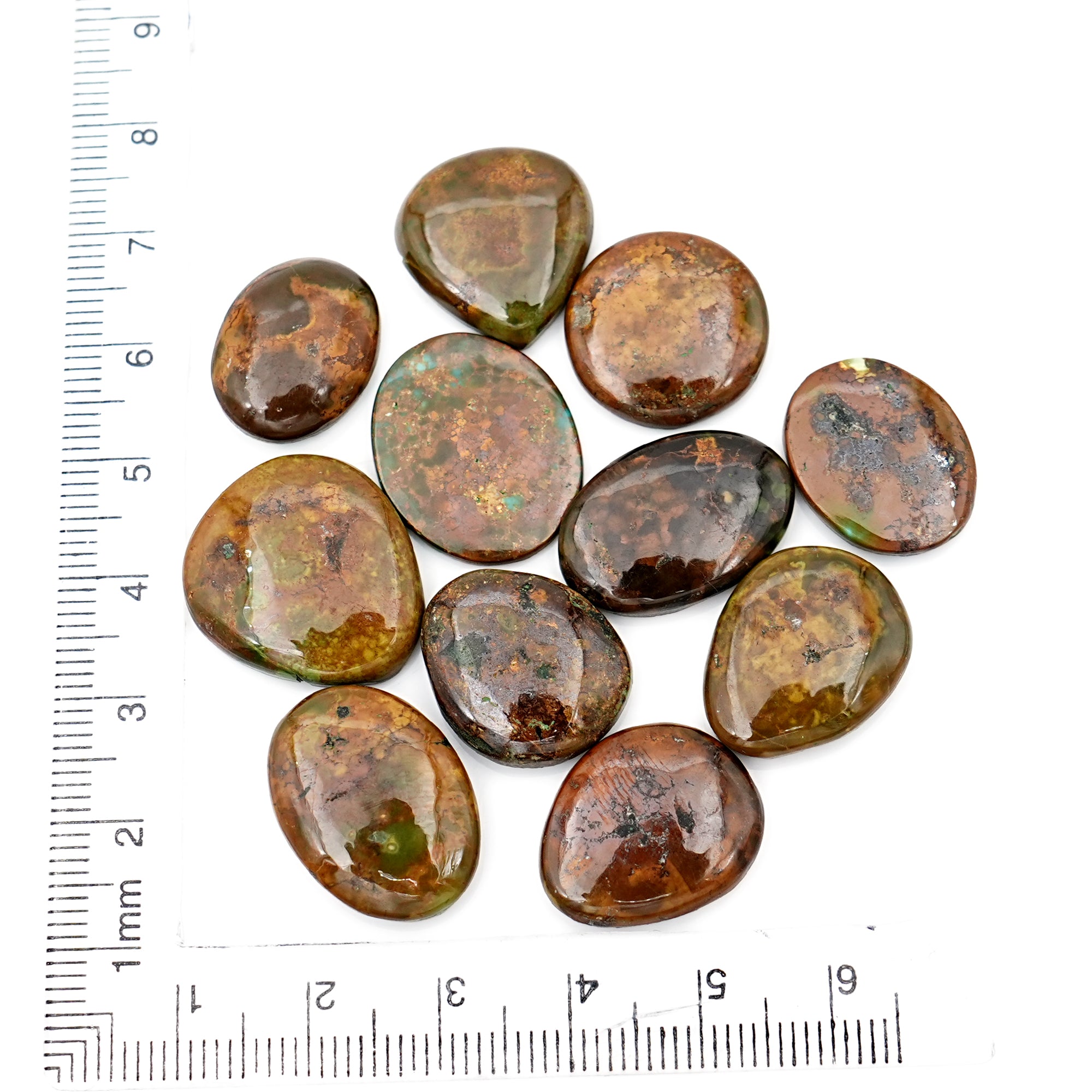 Tibetan Turquoise Smooth Cabochons |  Freeform Shape Gemstone for Jewelry Making- 11 Pieces