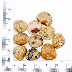 Ocean Jasper Freeform Rose Cut Cabochons | Earth-Toned Orbicular Wonders - 10 Pieces