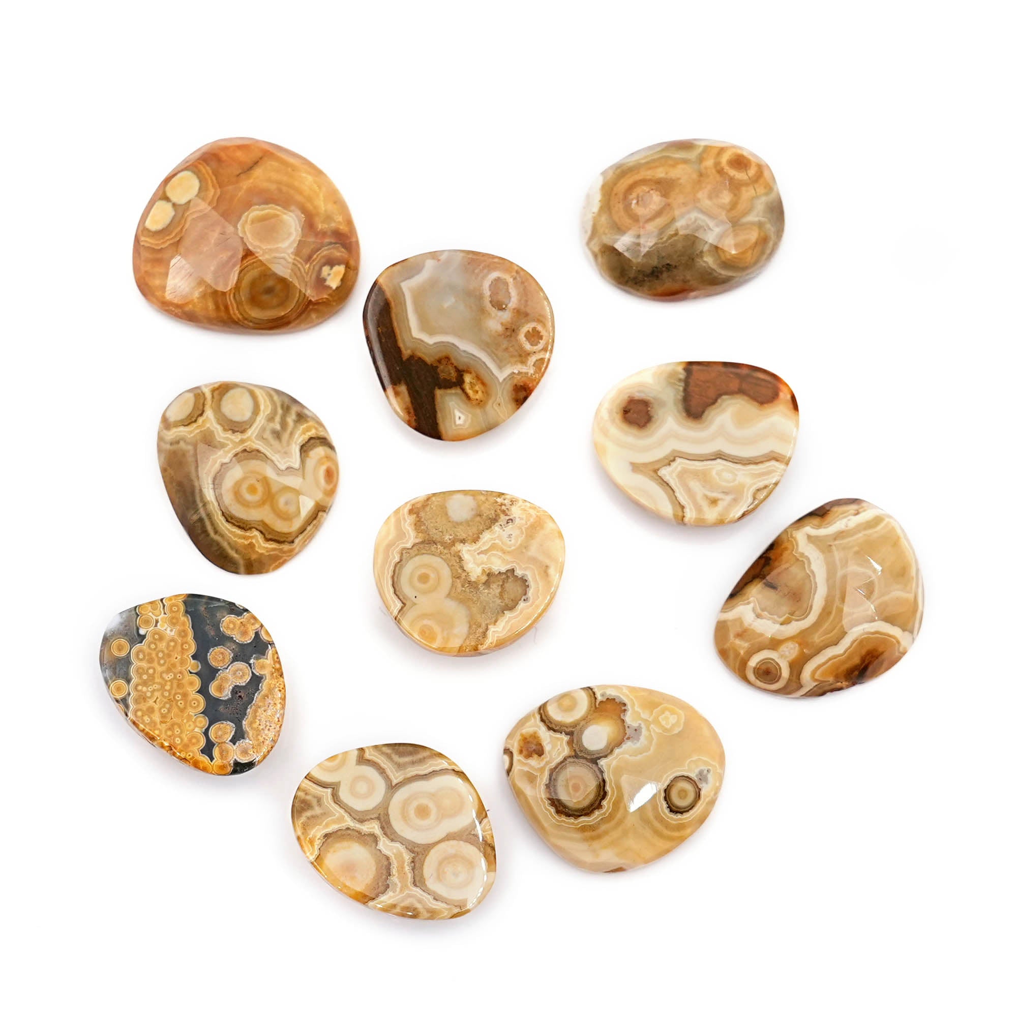 Ocean Jasper Freeform Rose Cut Cabochons | Earth-Toned Orbicular Wonders - 10 Pieces