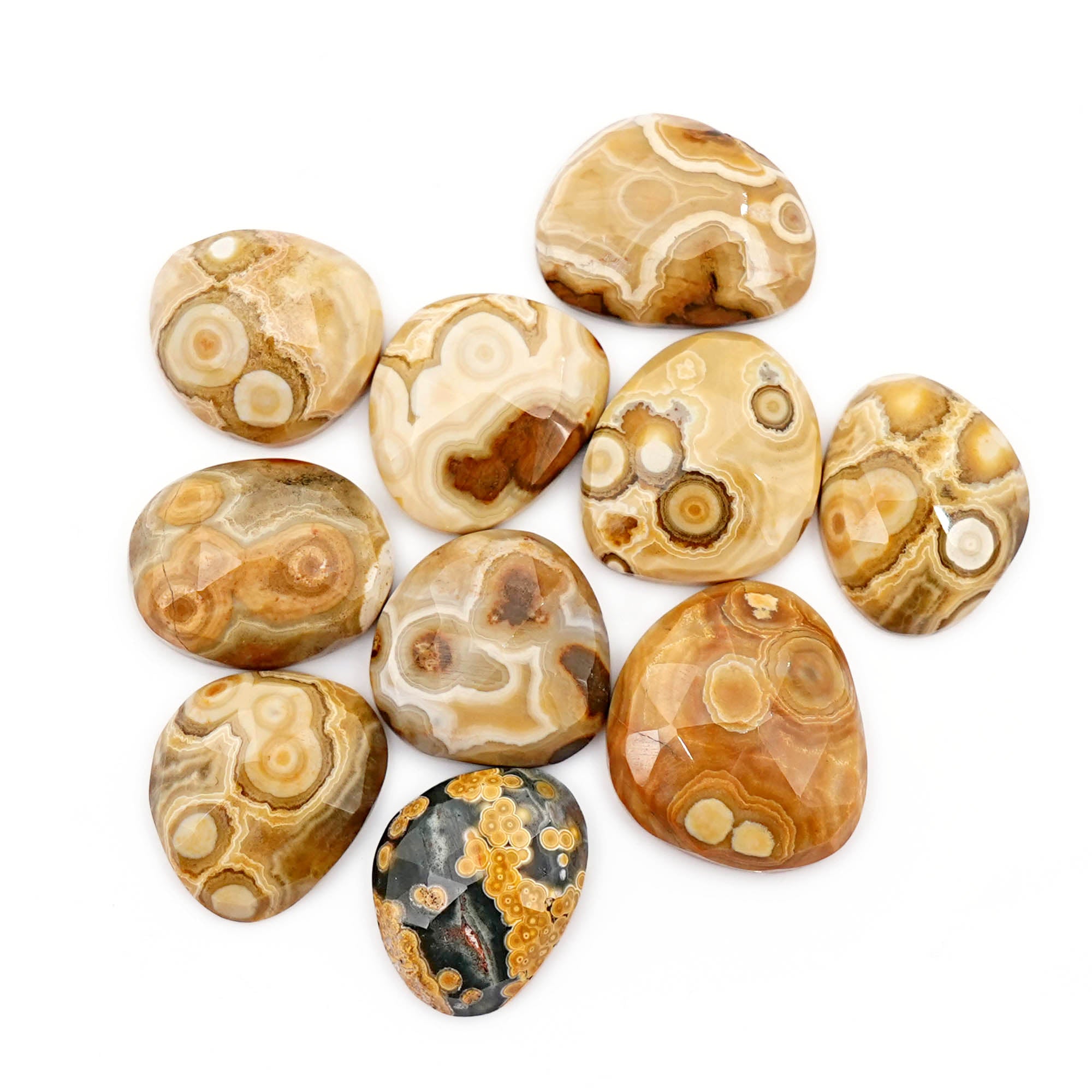 Ocean Jasper Freeform Rose Cut Cabochons | Earth-Toned Orbicular Wonders - 10 Pieces