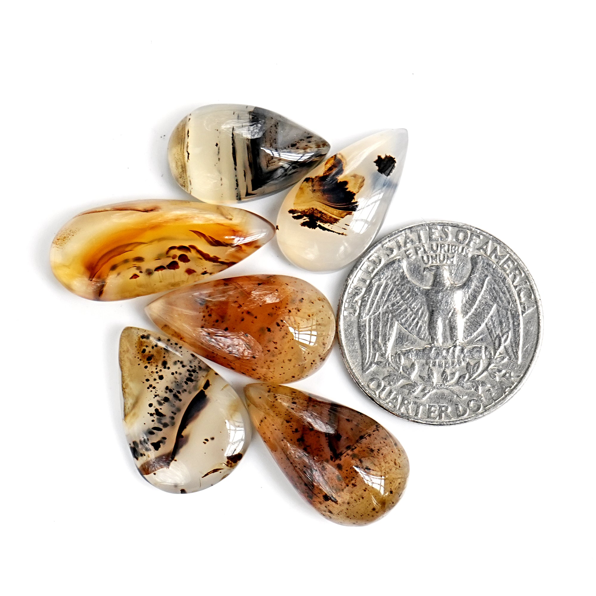 Montana Agate Cabochon |  Natural Flatback Loose Gemstones for Jewelry Making - 10 Pieces