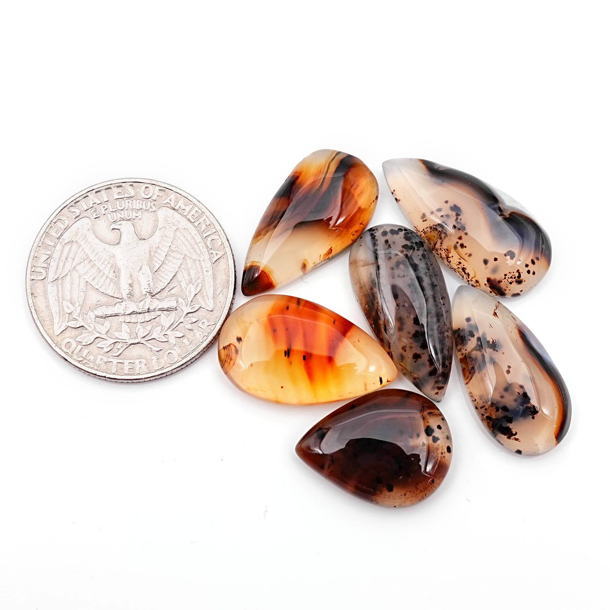 Pear Cut Montana Agate Smooth Cabochon | Natural Gemstone with Unique Inclusions - 6 Pieces