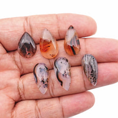 Pear Cut Montana Agate Smooth Cabochon | Natural Gemstone with Unique Inclusions - 6 Pieces