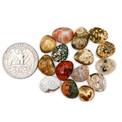 Ocean Jasper Rose Cut Cabochons | Multi Freeform Gemstones For Jewelry - 15 Pieces
