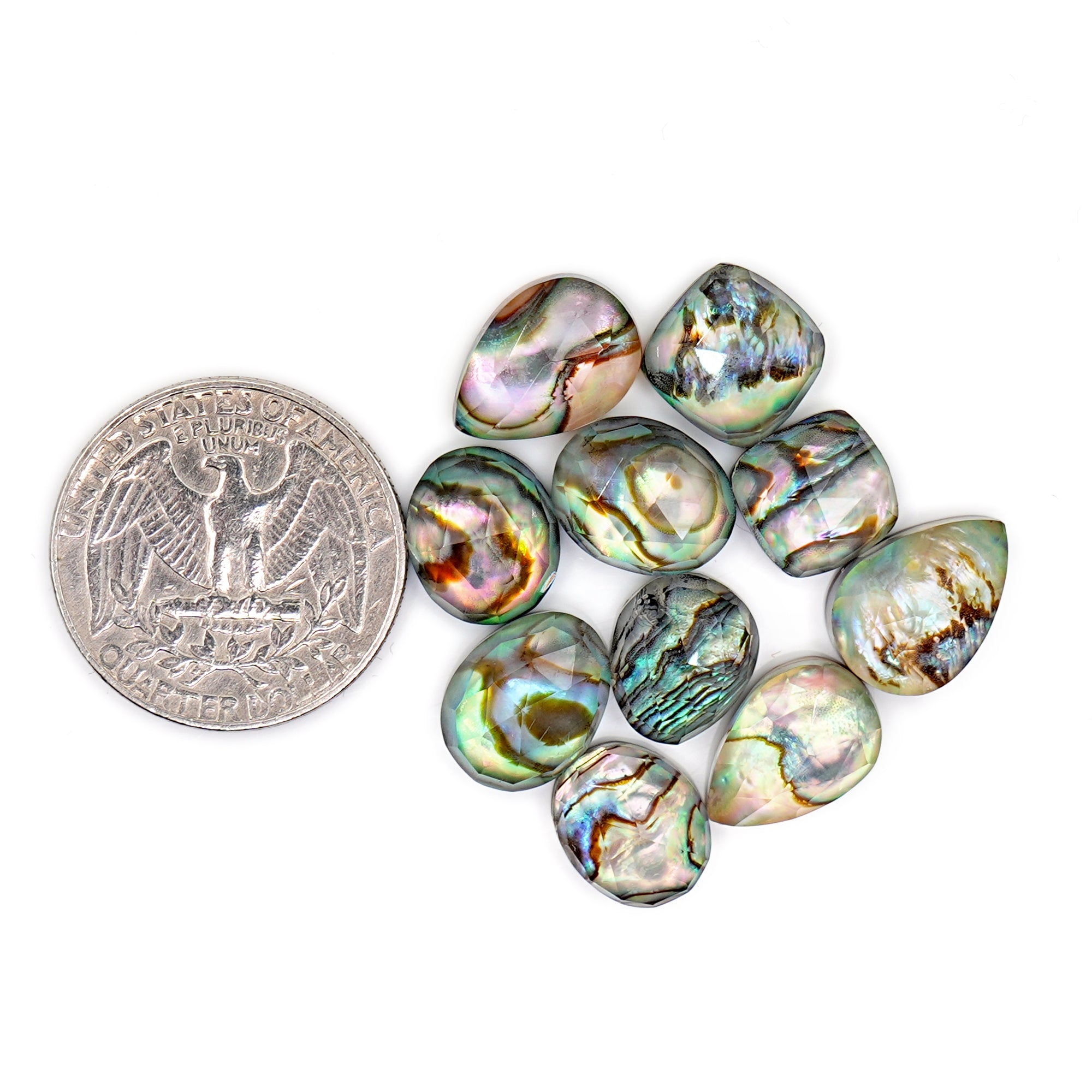 Abalone Shell Doublet Rosecut Cabochons | Mix-Shaped Gemstone for Statement Jewelry - 10 Pieces