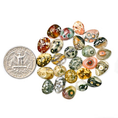 Ocean Jasper Smooth Cabochons | Multi Freeform Gemstones For Jewelry - 25 Pieces