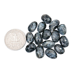 Freeform Larvikite Rose Cut Cabochon | Natural Gemstones for Jewelry Making - 15 Pieces