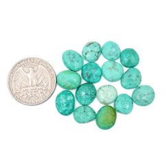 Rose Cut Hubei Turquoise Cabochons | Freefrom Gemstone for Jewelry Making- 15 Pieces