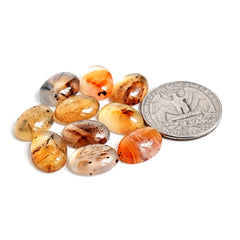 Montana Agate Cabochon |  Natural Flatback Loose Gemstones for Jewelry Making - 10 Pieces